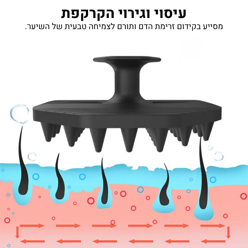 מברשת עיסוי לקרקפת לצמיחת השיער